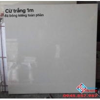 Gạch cao cấp nhập khẩu 100x100 xà cừ trắng