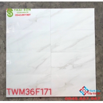 Gạch đá granite bóng kiếng 30x60 ốp tường phòng khách