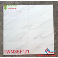 Gạch đá granite bóng kiếng 30x60 ốp tường phòng khách