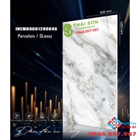 Gạch bóng kiếng ốp lát nhập khẩu 60x120 ấn độ tại Bến Tre