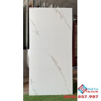 Gạch bóng kiếng ấn độ 60x120 giá rẻ hcm