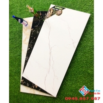 Gạch nhập khẩu 60x120 mới nhất bình chánh