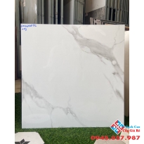 Gạch lát nền giá tốt 60x60