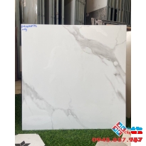 Gạch lát nền giá tốt 60x60