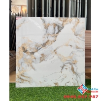 Gạch 60x60 lát nền giá rẻ vincenza