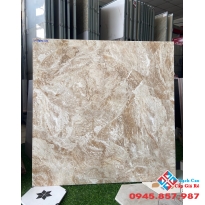 Bán gạch lát nền 80x80 giá rẻ hcm