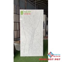 Chuyên bán gạch khổ lớn cao cấp 80x160 ấn độ