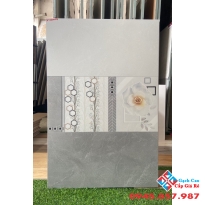 Gạch ốp tường Royal 30x60 mới nhất