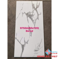 Gạch khổ lớn 60x120 đá mờ giá rẻ