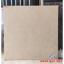 Gạch 60x60 đá mờ lát nền viglacera