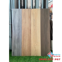 Gạch lát nền giả gỗ 20x100 đồng chất