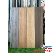 Gạch lát nền giả gỗ 20x100 đồng chất