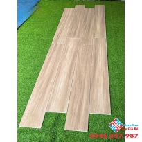 Gạch lát nền màu giả gỗ 20x120 nhập khẩu cao cấp