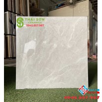 Gạch lát nền 60x60 bóng kiếng tasa giá bao nhiêu 1 thùng