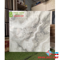 Gạch tasa bóng kiếng khắc kim 80x80 lát nền tại Gò Vấp
