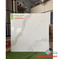 Gạch lát nền nhũ vàng kim 80x80 bóng kiếng tasa cao cấp