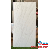 Gạch đá mờ 60x120 apodio giá rẻ hcm