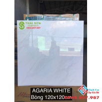 Gạch lát nền 120x120 ấn độ cao cấp Tân Phú