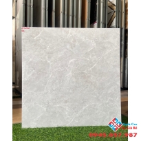 Gạch bóng kiếng catalan 60x60 giá rẻ