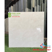 Gạch catalan xmart 80x80 lát nền cao cấp tại Q3