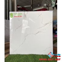 Giá gạch lát nền Tasa 80x80 bóng kiếng
