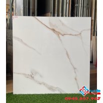 Gạch ý mỹ 80x80 F88002 bóng kiếng
