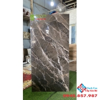 Mẫu gạch ốp lát trung quốc đẹp 60x120 bóng kiếng đồng chất