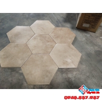 Gạch lục giác nhập khẩu