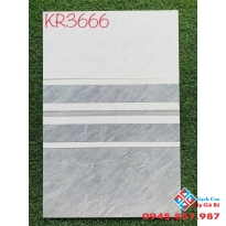 Gạch men ốp tường 30x60 cao cấp giá rẻ vĩnh long