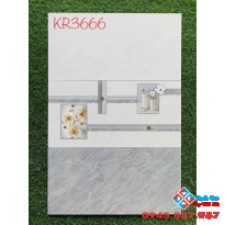 Gạch men bóng ốp tường 300x600 cao cấp tại mộc hóa