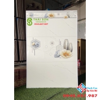 Gạch men bóng tasa ốp tường 30x60 cao cấp tại hcm