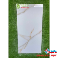 Gạch nhập khẩu ấn độ 60x120 cao cấp Q7