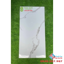 Tổng hợp 5 mẫu gạch nhập khẩu 60x120 siêu bóng bán chạy giá rẻ