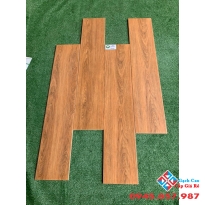 Gạch vân gỗ mới nhất 20x100 nhập khẩu
