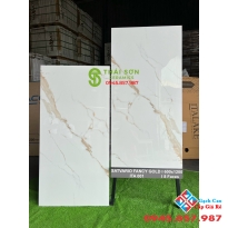 Gạch lát nền cao cấp 60x120 bóng kiếng ấn độ cao cấp Tiền Giang