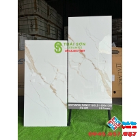 Gạch lát nền cao cấp 60x120 bóng kiếng ấn độ cao cấp Tiền Giang