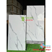 Tổng đại lý gạch nhập khẩu 60x120 bóng kiếng ấn độ giá tốt nhất Tiền Giang