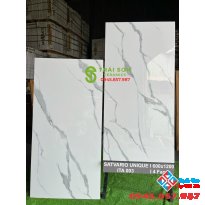 Tổng đại lý gạch nhập khẩu 60x120 bóng kiếng ấn độ giá tốt nhất Tiền Giang
