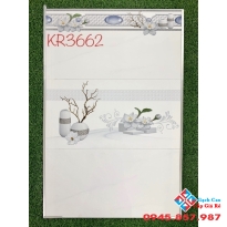 Gạch ốp tường giá rẻ 30x60 hà thanh