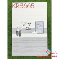 Gạch ốp tường 30x60 giá rẻ hà thanh