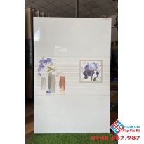 Gạch ốp tường ttc 40x80 men bóng