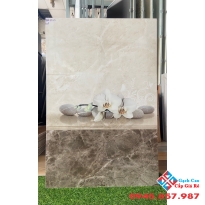 Gạch ốp tường viglacera 30x60 mới nhất