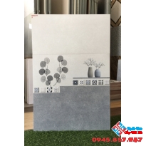 Gạch men ốp tường 30x60 nguyễn tri phương