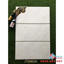 Gạch trung quốc 40x80 ốp tường cao cấp