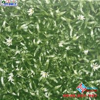Mẫu gạch lát sân 40x40 tại hcm