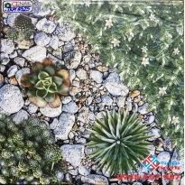 Gạch lát sân 40x40 giá rẻ tại bình chánh