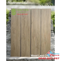Gạch giả gỗ trung quốc 20x100 đá mờ