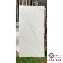 Gạch ốp tường 40x80 trung quốc cao cấp hcm