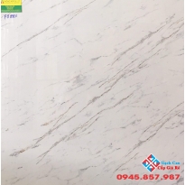 Đá bóng kiếng 80x80 kis FB8801