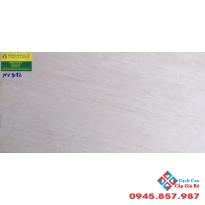 Đá mờ tồn kho 30x60 ốp tường 9182